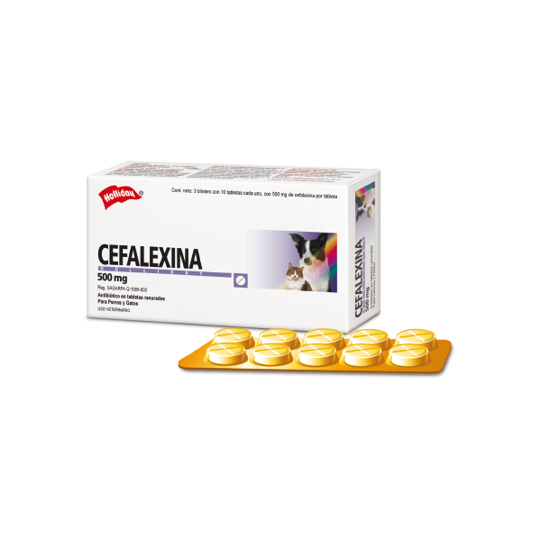 CEFALEXINA 500