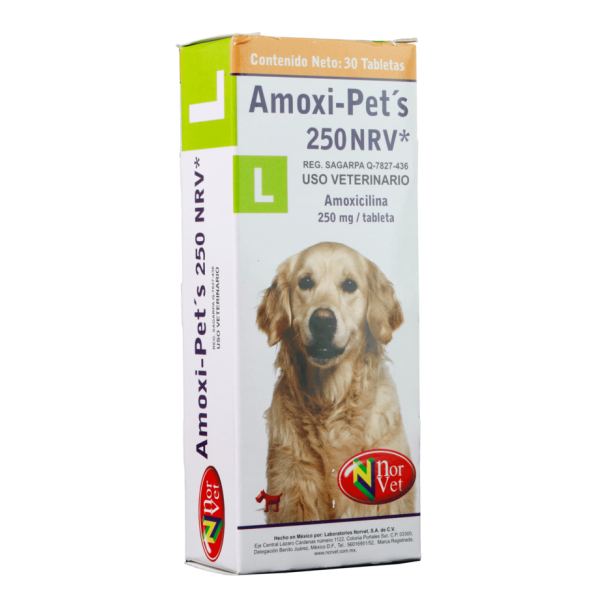 AMOXI PETS L