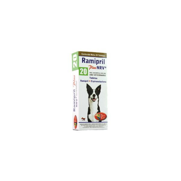 RAMIPRIL PLUS 20