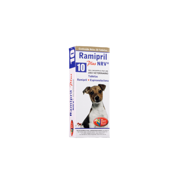 RAMIPRIL PLUS 10