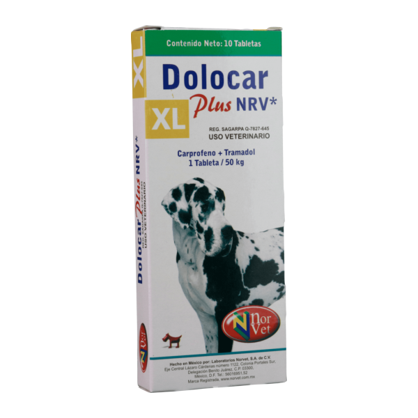 DOLOCAR PLUS XL