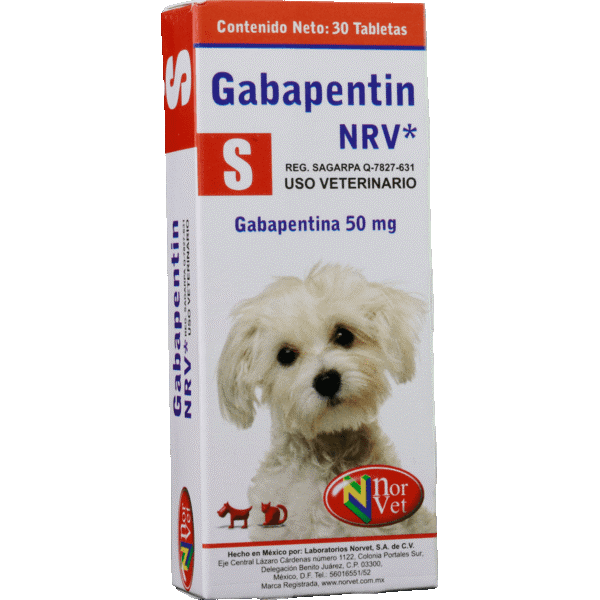 GABAPENTIN S