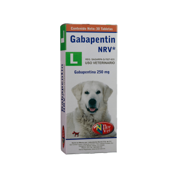 GABAPENTIN L