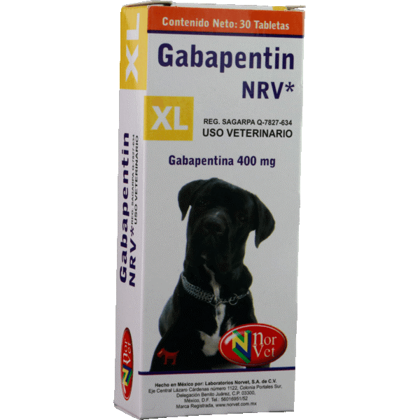 GABAPENTIN XL