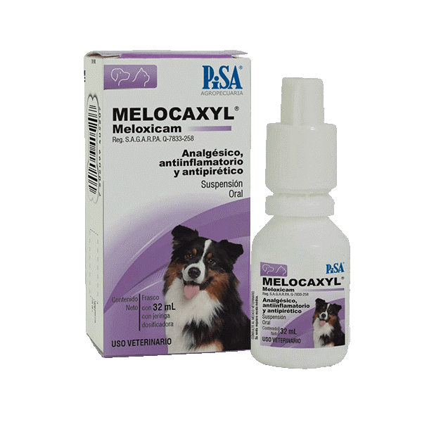 PISA MELOCAXYL ORAL