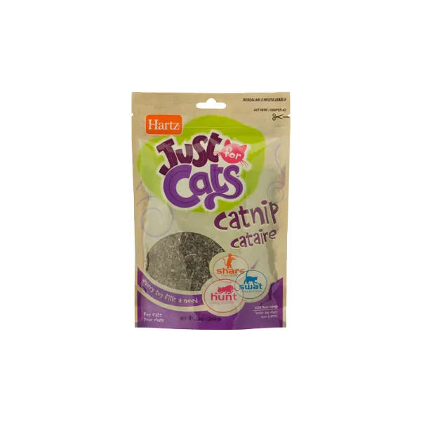 ATRAYENTE PARA GATO CON CATNIP