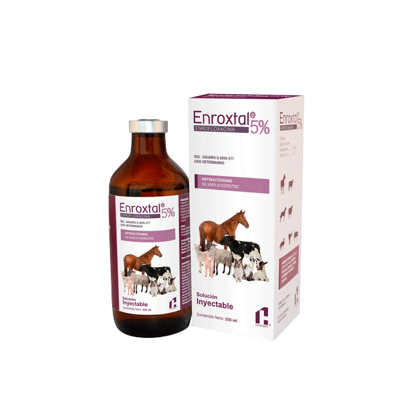 ENROXTAL  INYECTABLE 5 %