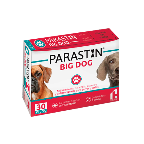 PARASTIN BIG DOG