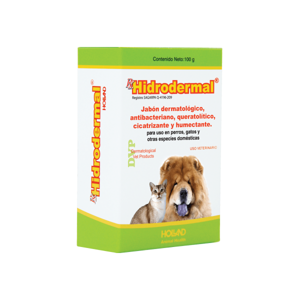 Holland Hidrodermal