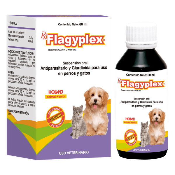 Flagyplex