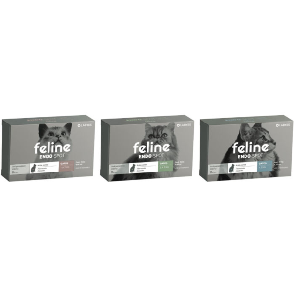 Feline Endo Spot