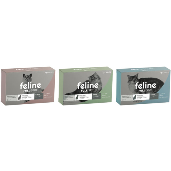 Feline Full Spot