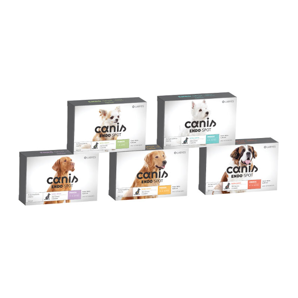 Canis Endo Spot