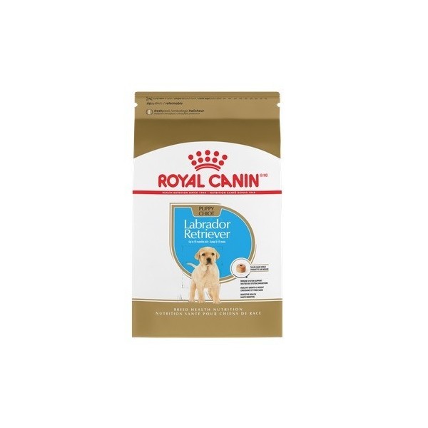 Royal Canin Labrador Retriever Puppy