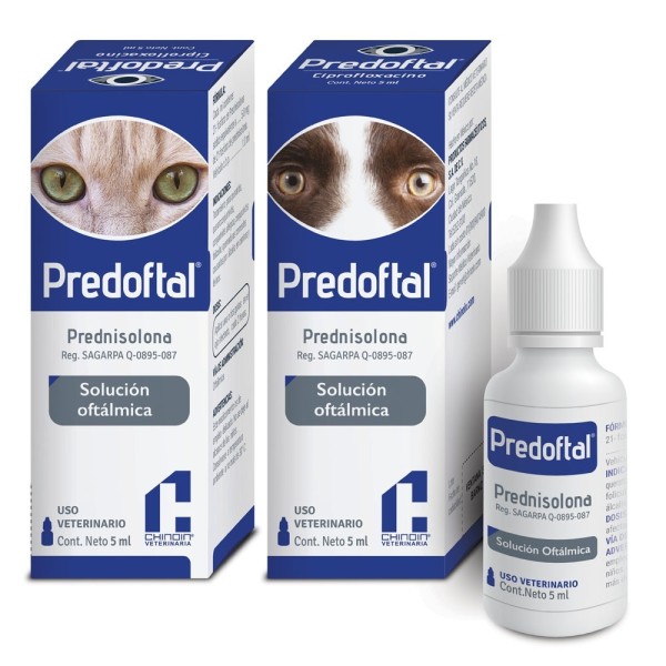 PREDOFTAL 5 ML