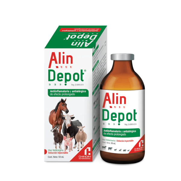 ALIN DEPOT