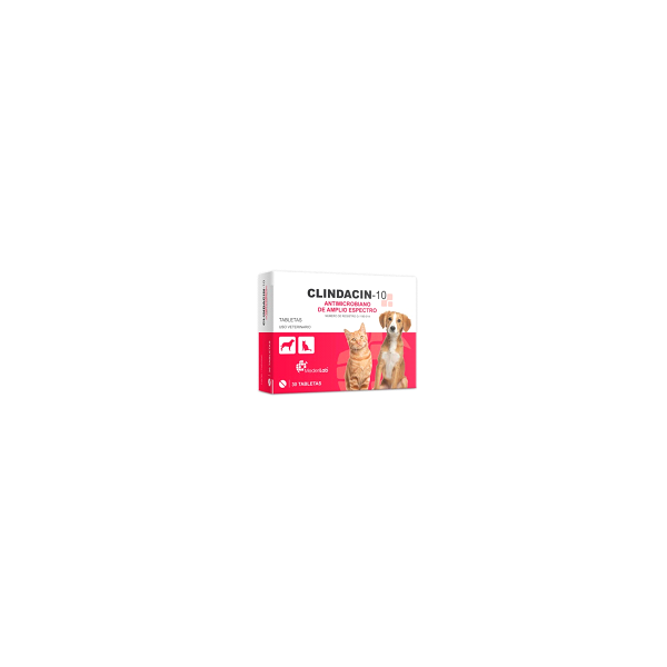 CLINDACIN 10