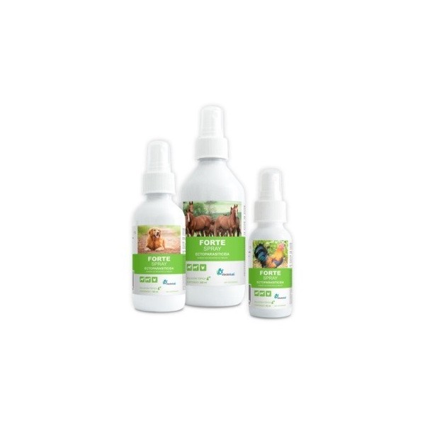 FORTE SPRAY