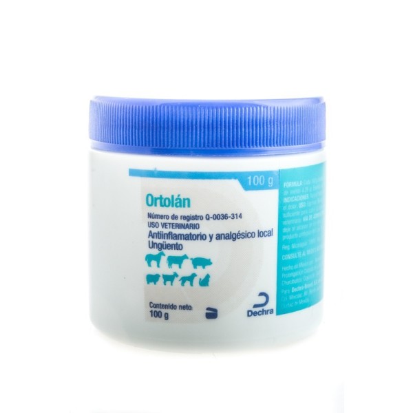 ORTOLAN