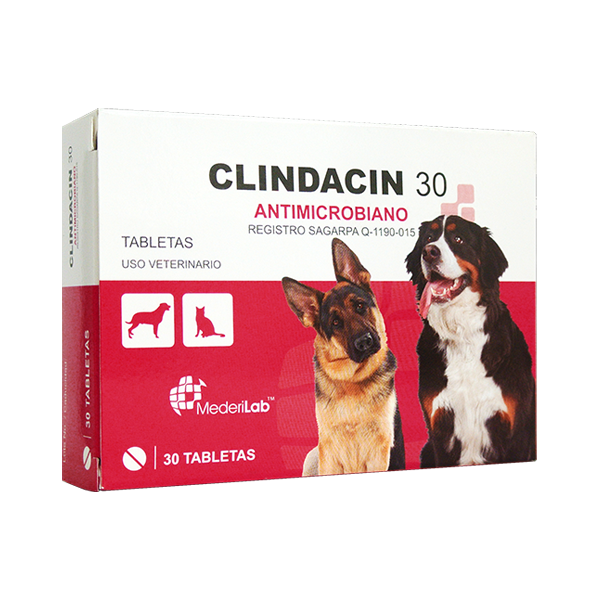 CLINDACIN 30