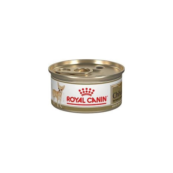 Royal Canin Chihuahua Adult Wet Lata