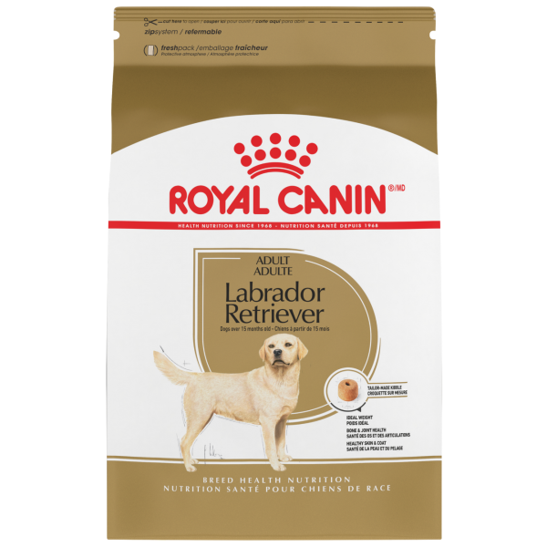 Royal Canin Labrador Retriever