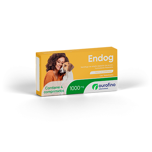 ENDOG 2
