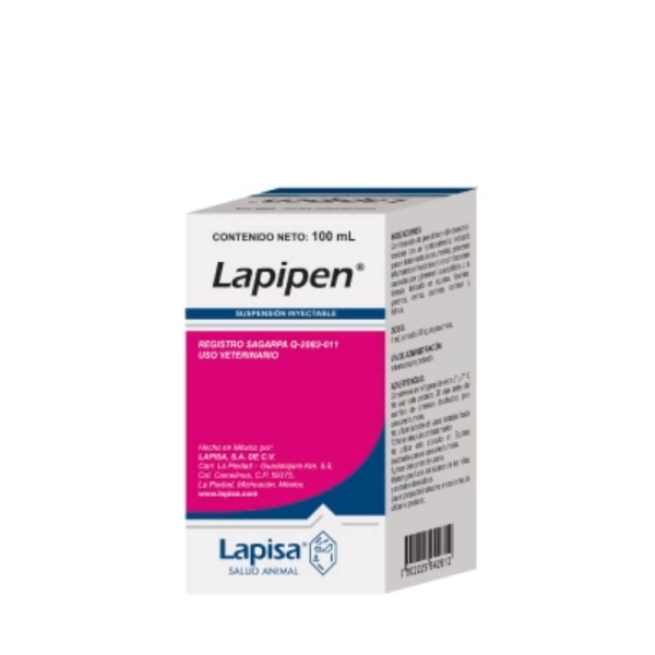 LAPIPEN