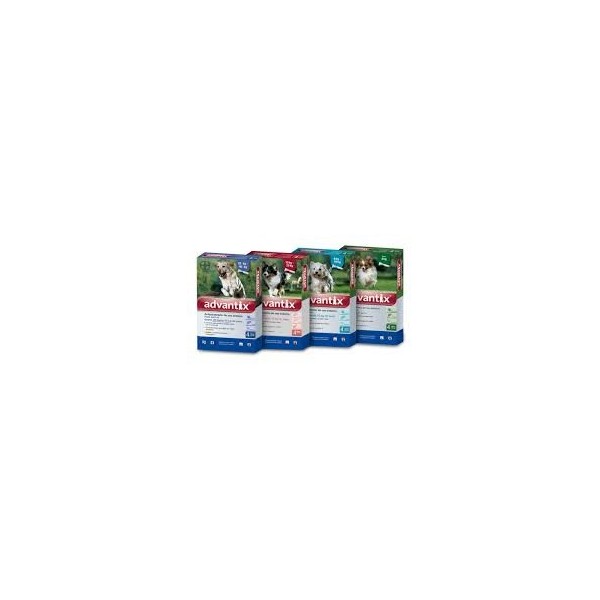 BAYER ADVANTIX