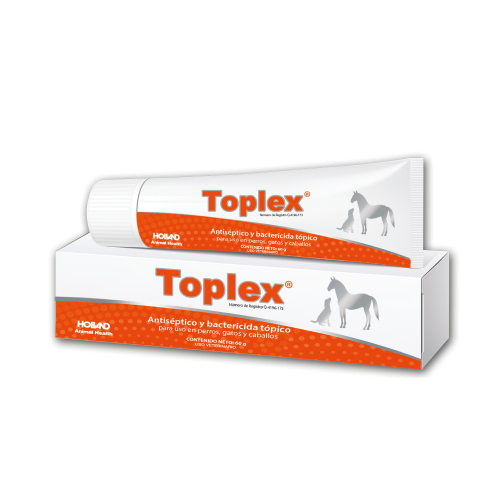 Toplex