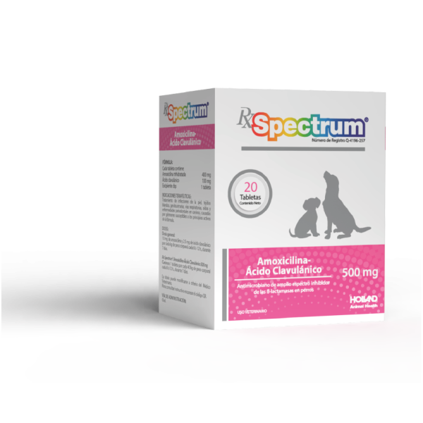Spectrum Amoxicilina Ácido-Clavulánico 500 MG