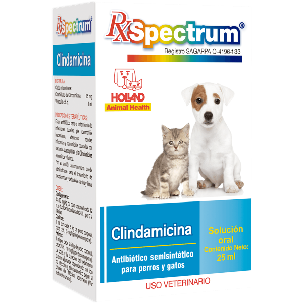 SPECTRUM CLINDAMICINA SUSPENSION