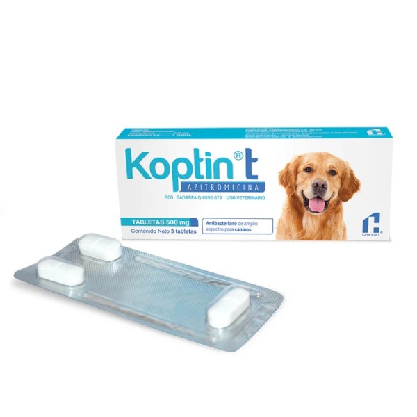 CHINOIN KOPTIN T