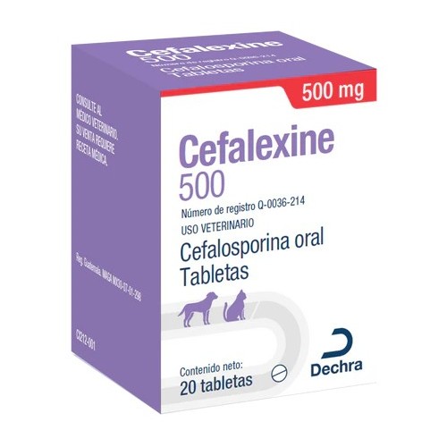 CEFALEXINE 500 MG