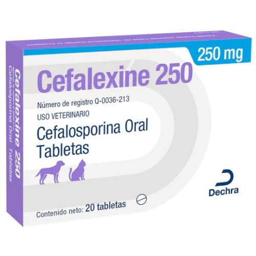 CEFALEXINE  250 MG