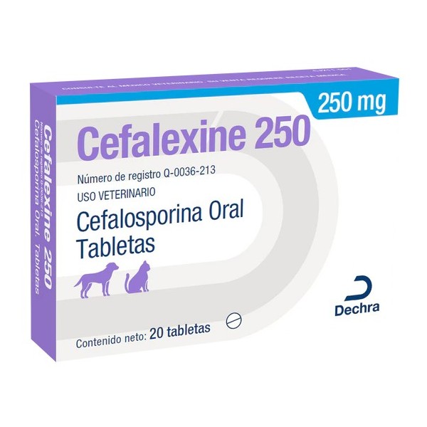 CEFALEXINE  250 MG