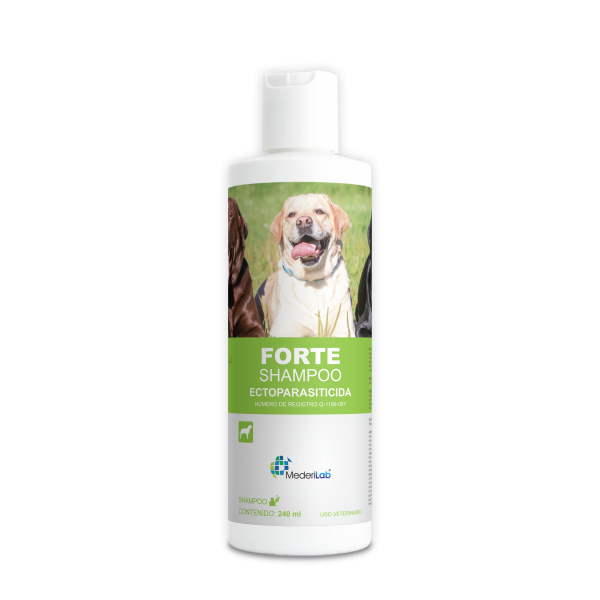 FORTE SHAMPOO