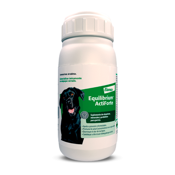 EQUILIBRIUM ACTIFORTE