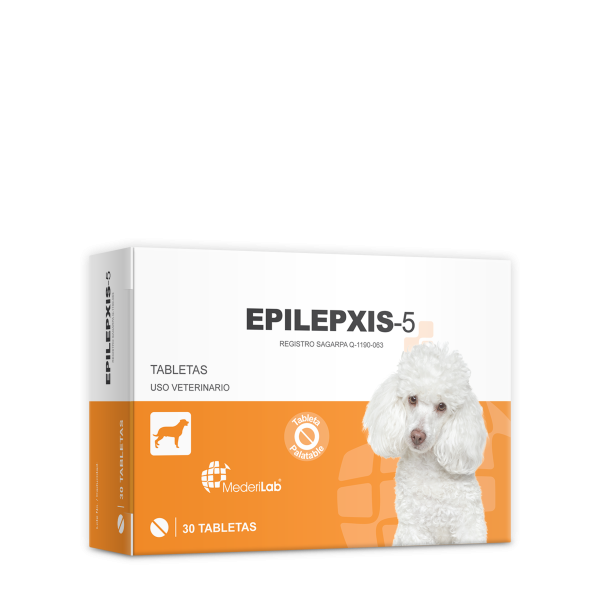 EPILEPXIS