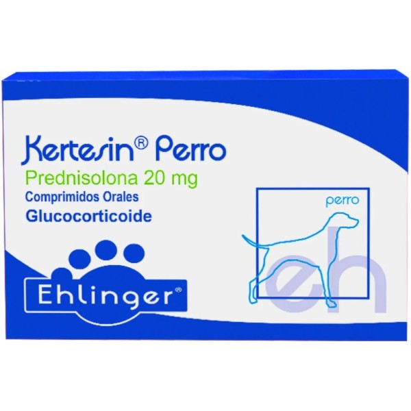 KERTESIN PERRO