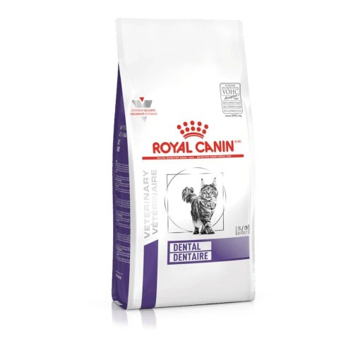 ROYAL CANIN DENTAL DRY FELINE
