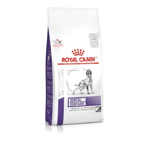 ROYAL CANIN DENTAL DRY DOG