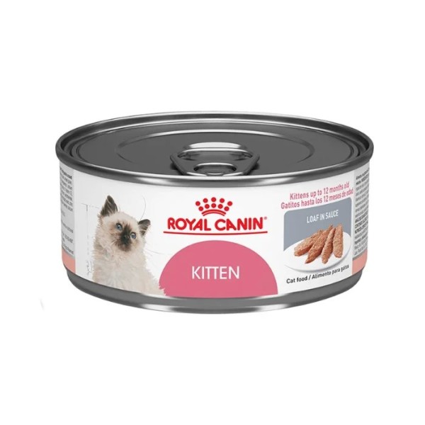ROYAL CANIN KITTEN LOAF LATA