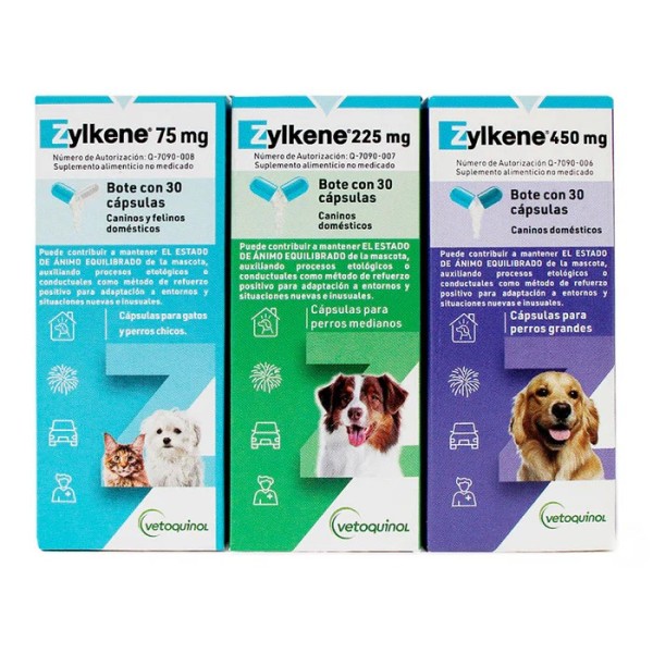 ZYLKENE