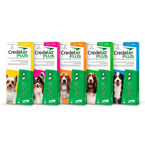 CREDELIO PLUS