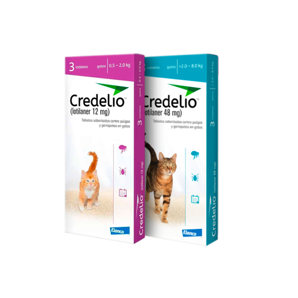 CREDELIO GATO