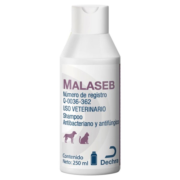MALASEB
