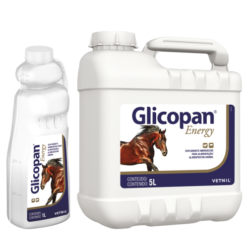 GLYCOPAN ENERGY