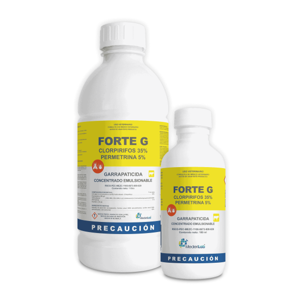 FORTE G