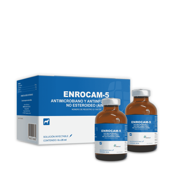 ENROCAM 5